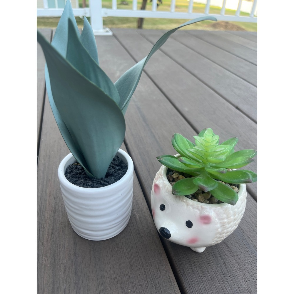 Threshold Faux Succulent Set Hedgehog Planter Blue Agave Tabletop Decor 2pc